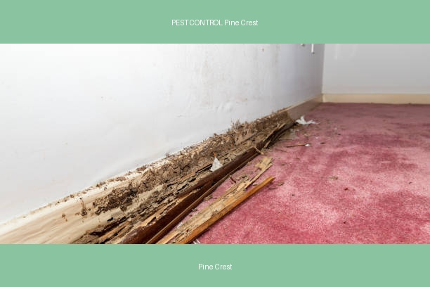 PEST CONTROL Pine Crest
